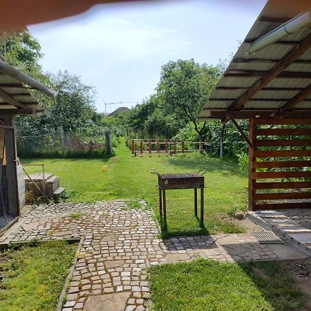 דירות Făgăraş Vicky House מראה חיצוני תמונה