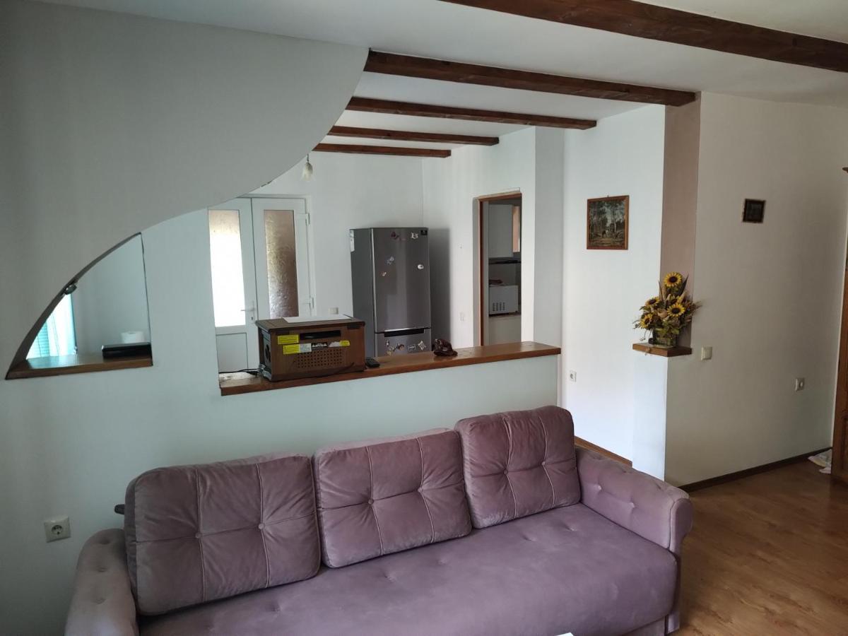 דירות Făgăraş Vicky House מראה חיצוני תמונה