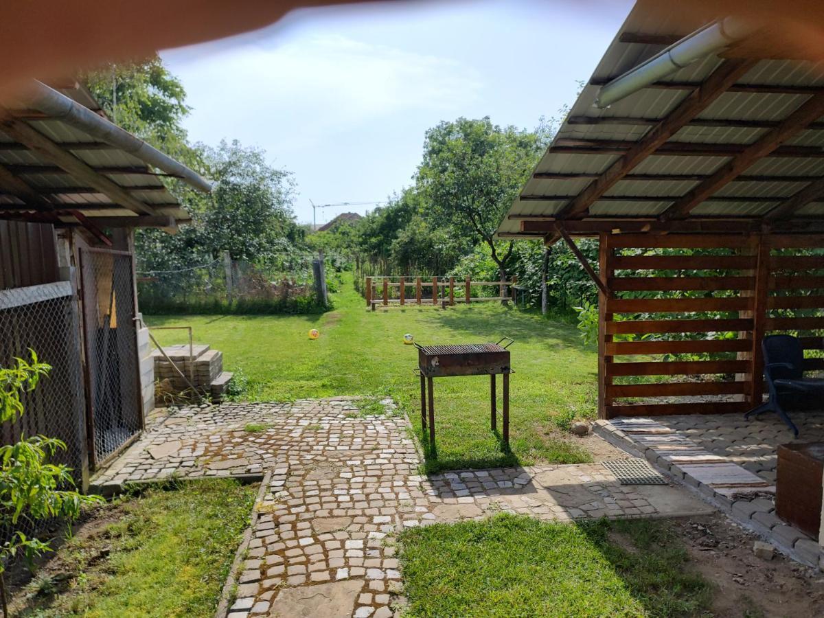 דירות Făgăraş Vicky House מראה חיצוני תמונה
