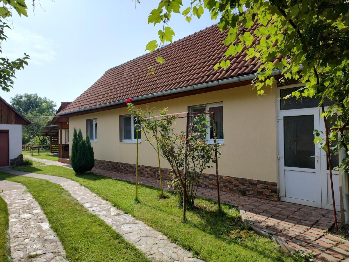 דירות Făgăraş Vicky House מראה חיצוני תמונה