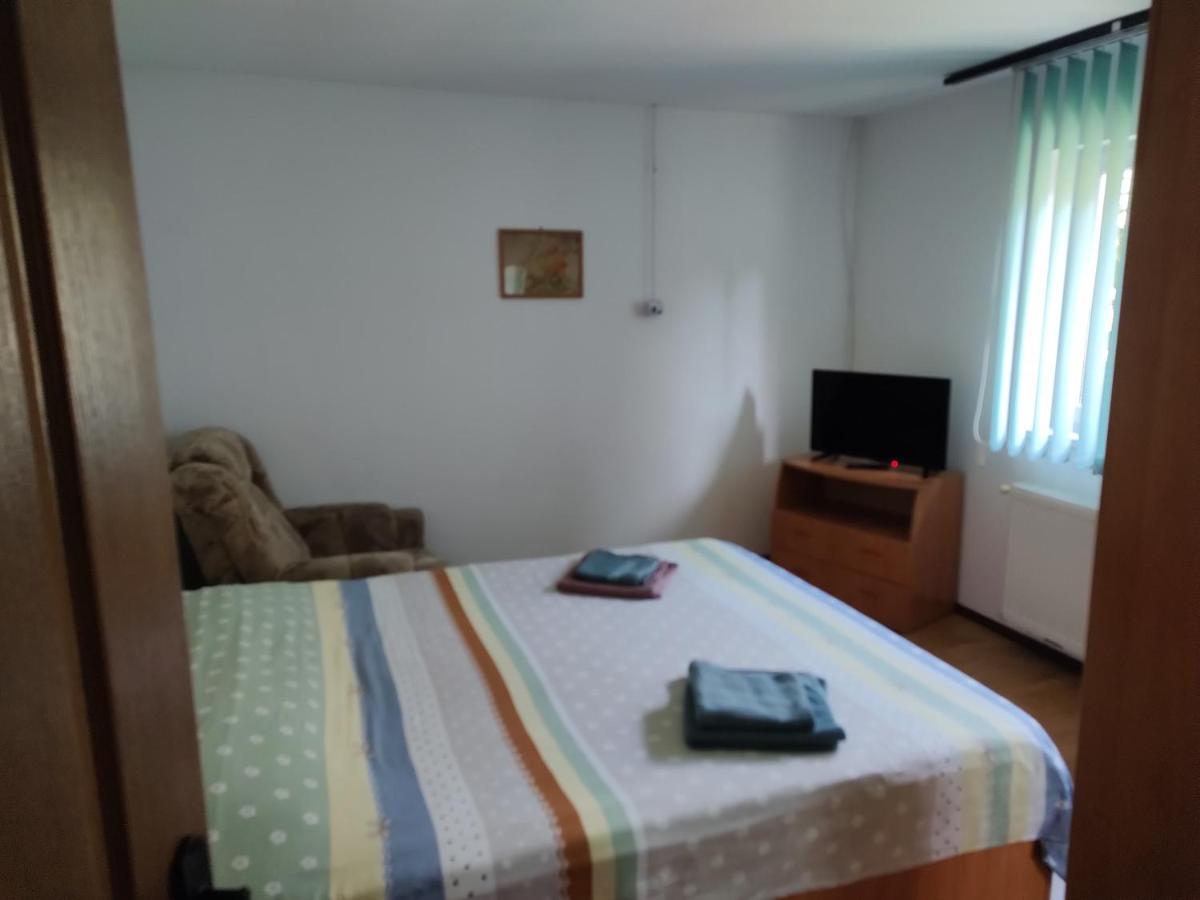 דירות Făgăraş Vicky House מראה חיצוני תמונה
