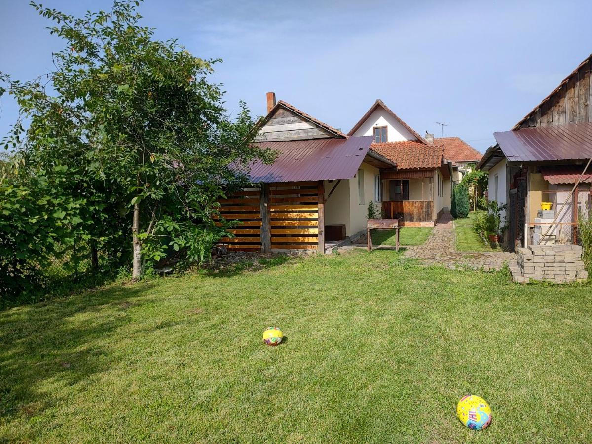 דירות Făgăraş Vicky House מראה חיצוני תמונה