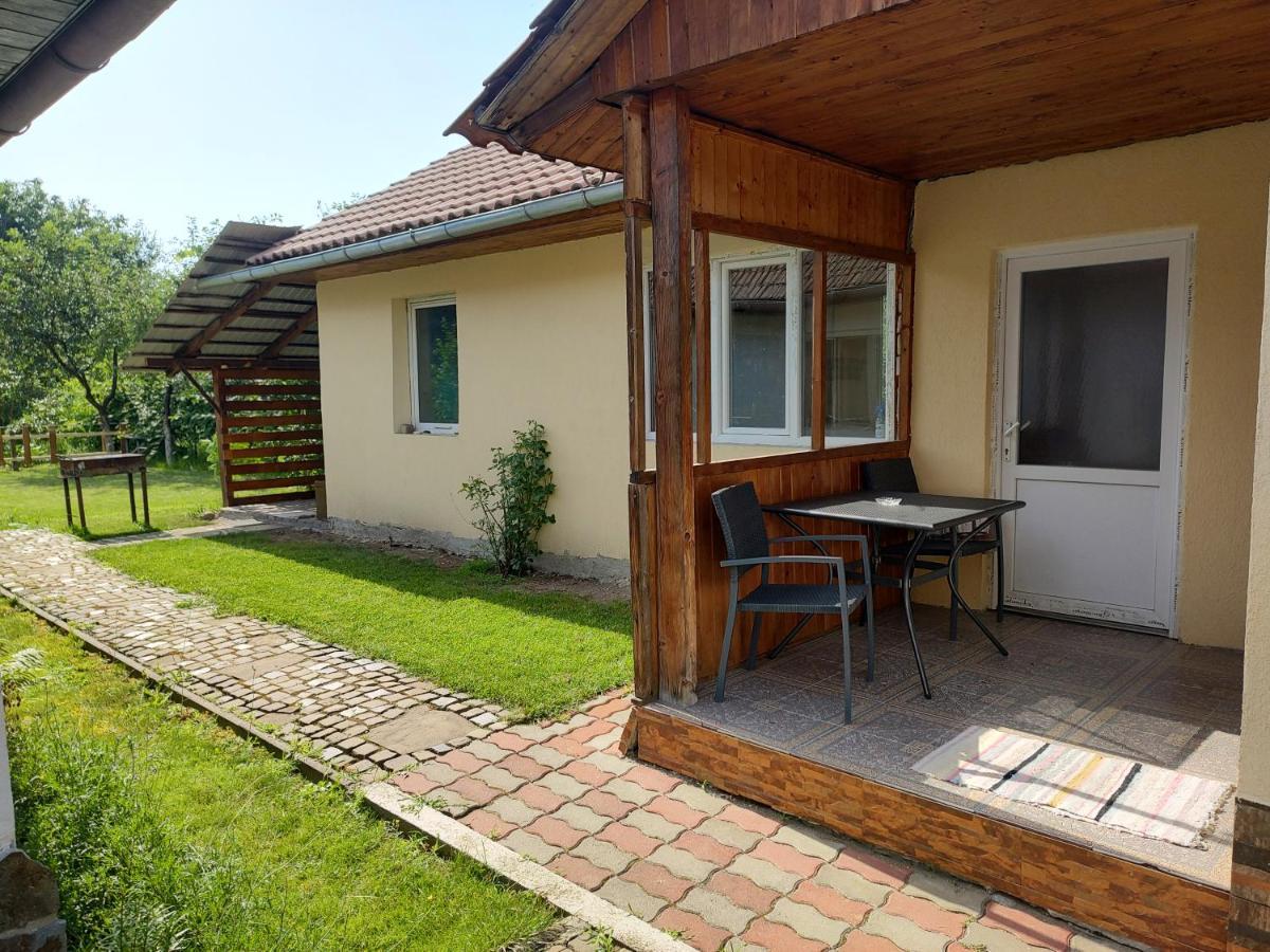 דירות Făgăraş Vicky House מראה חיצוני תמונה