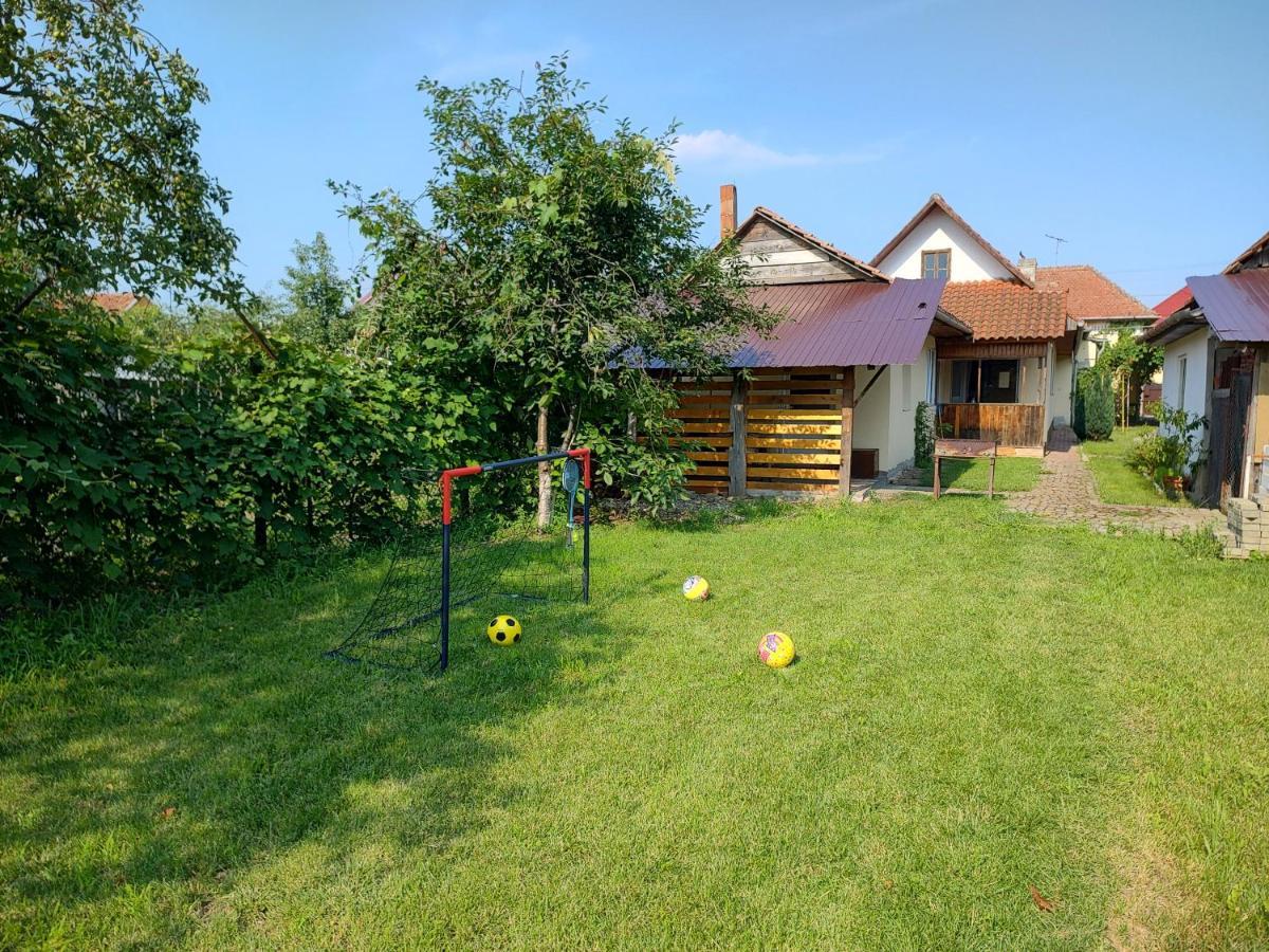 דירות Făgăraş Vicky House מראה חיצוני תמונה